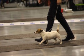 IMG 8832