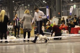 IMG 8886