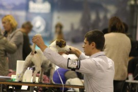 IMG 8892