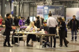 IMG 8964