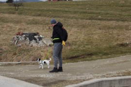 IMG 1769