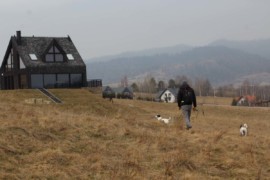 IMG 1830