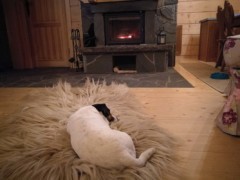 IMG 20180326 201703