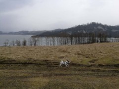 IMG 20180327 142131