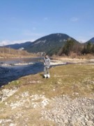IMG 20180328 120454