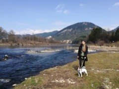 IMG 20180328 120604