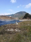 IMG 20180328 120856