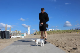 IMG 9021