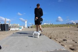 IMG 9024
