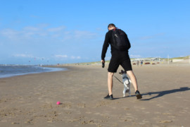 IMG 9059