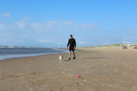 IMG 9060