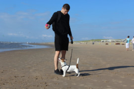 IMG 9064