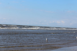 IMG 9076