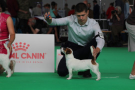 IMG 9286