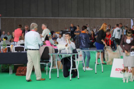 IMG 9340