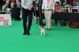 IMG 9358