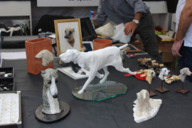 IMG 9397