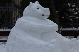 IMG 6552