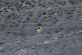 IMG 5993