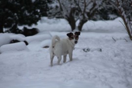 IMG 6158