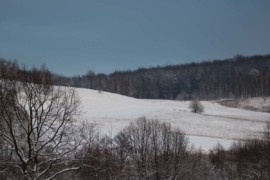 IMG 6175