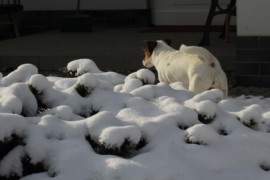 IMG 6249