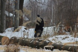 IMG 6821