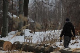 IMG 6831