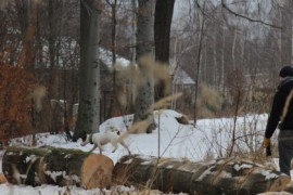 IMG 6832