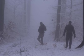 IMG 8101