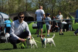 Krajowa Wystawa Psów Rasowych - Jasło 2018