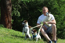 Jacks4You Majówka, Jack Russell Terrier (21)