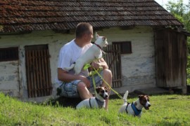 Jacks4You Majówka, Jack Russell Terrier (22)