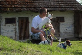 Jacks4You Majówka, Jack Russell Terrier (23)