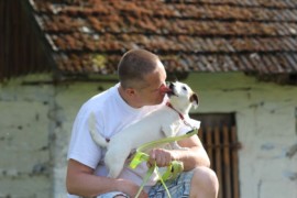 Jacks4You Majówka, Jack Russell Terrier (24)