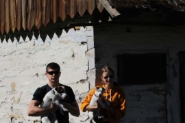 Jacks4You Majówka, Jack Russell Terrier (59)