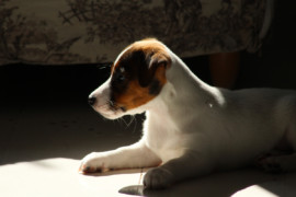 IMG 0279