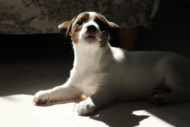 IMG 0287