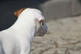 IMG 0574
