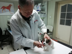 IMG 20181208 094932