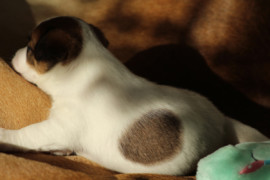 IMG 4326