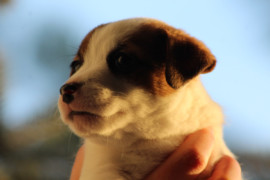 IMG 4805