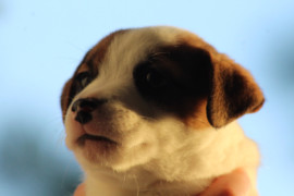 IMG 4807