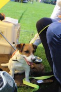 IMG 7820