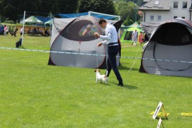 IMG 7844