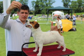 IMG 7901