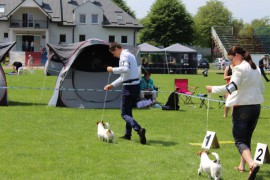 IMG 7909