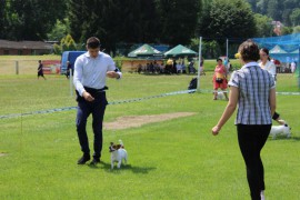 IMG 7915