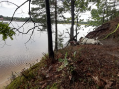 IMG 20180708 105432