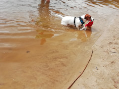 IMG 20180708 113041